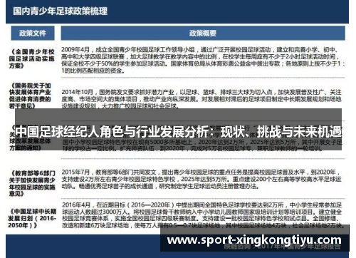 中国足球经纪人角色与行业发展分析：现状、挑战与未来机遇