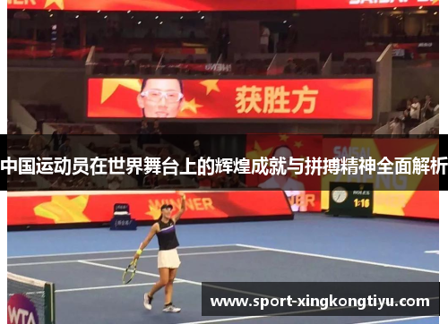 中国运动员在世界舞台上的辉煌成就与拼搏精神全面解析